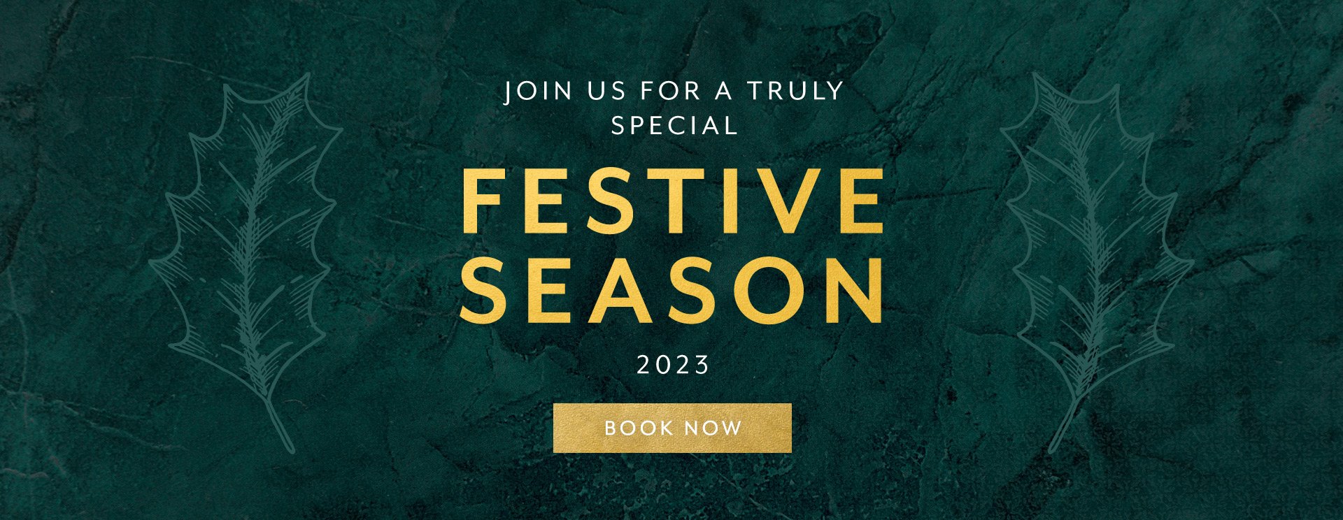 Christmas 2023 at Fen Ditton
